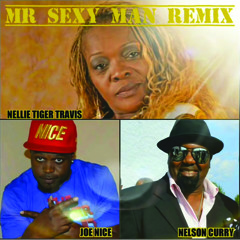 Nellie Tiger Travis Feat. Nelson Curry & Joe Nice - Mr. Sexy Man Remix