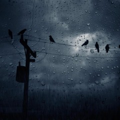 Andrew Sky - The Rain