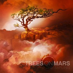 Song - In The Wake Artist - Trees On Mars mixed and mastered by Vivek Thomas