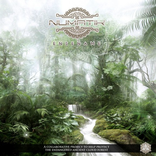 02. Enseñame (Liquid Bloom Remix)