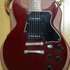 LesPaul Special Sample2_0317