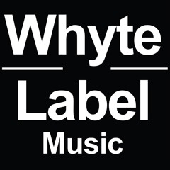 Don Major - Kushtee - N-Type Remix