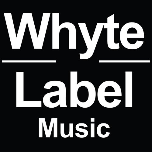 Don Major - Kushtee - N-Type Remix