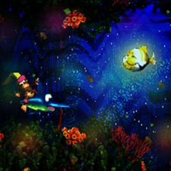 Donkey Kong Country 3 - Water World Cover