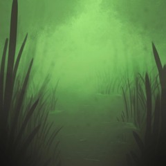 Seeing Things You Wouldn't Believe