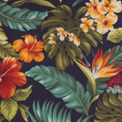 Ali Kuru :: Spring 2016 :: Mixtape