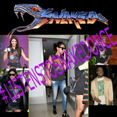 1833 Mix Series, Vol 88:  #LISTENSTOSNAKEDONCE