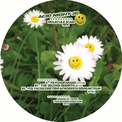 B2 - HFK - Polyacidcoretekpafnoisefuckbreaktruk