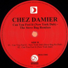 Chez Damier - Can You Feel It (New York Dub)