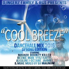 SLINGERZ FAMILY PRESENTS COOL BREEZE DANCEHALL MIX TAPE