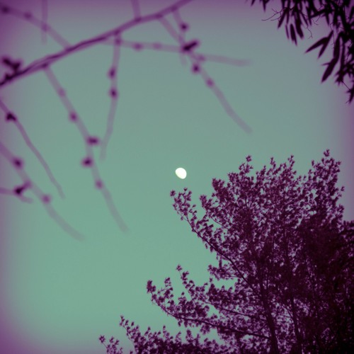 Still Lies the Midnight (Aether Remix)