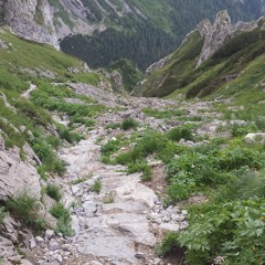 Zenit PRODŻEKT Guitar Bang.MP3