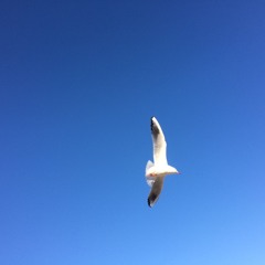 Call it what you want - I call it House - Oldschool Sessions