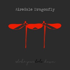 Airedale Dragonfly