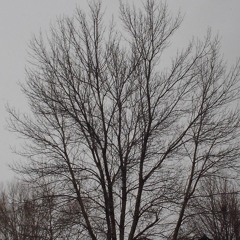 ISEEUCALLIN prod. MAXDOTBEATS