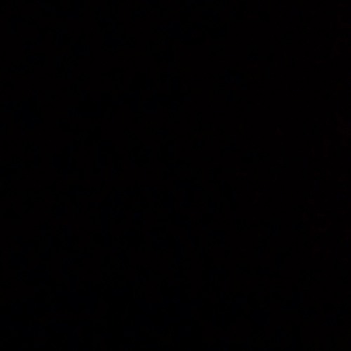 Chris g forber rayner track 6