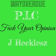 P.I.C/J Recklesz/Fuck Your Opinion/ILLMIX