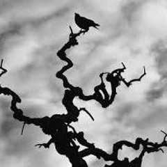 Abr@XaZ$ lil DubwiiTch