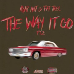 ASAP Ant - The Way It Go Pt 2 ft. Fat Trel (DigitalDripped.com)