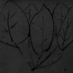 Wiley- Step 20 (leafs remix)