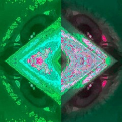 W O R L D S Y S T E M C O L L A P S E