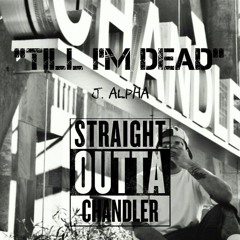 Till I'm Dead