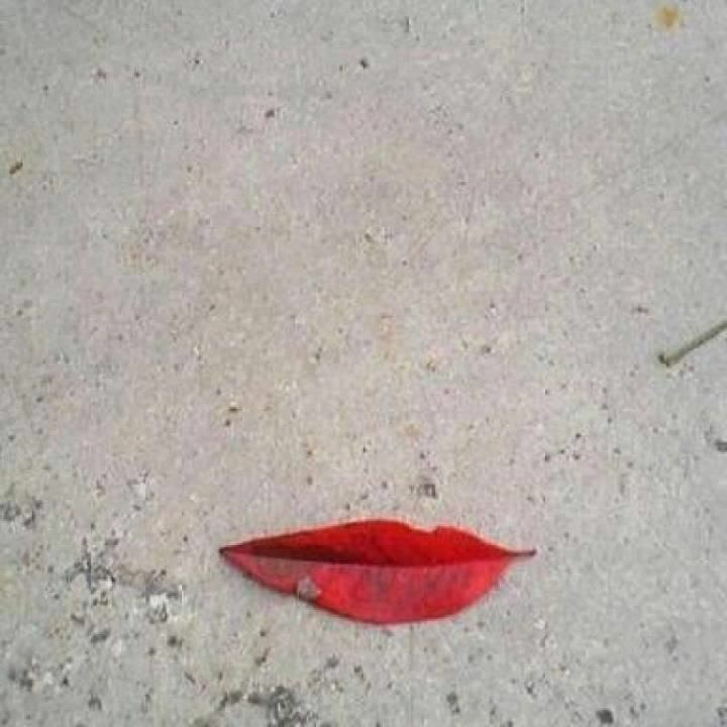 LuloDiaz