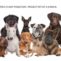 King & K - 9 Unit Posse - Don't Play Games (Feat. Project Pat)