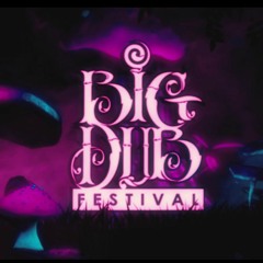 Tiësto & KSHMR Feat. VASSY - Secrets (Big Dub Festival Remix Mashup]