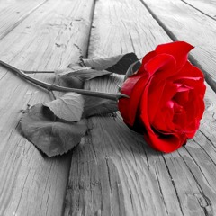 Roses chainsmoker (Remake) (No vocal cause of Copyright) (Free Download)