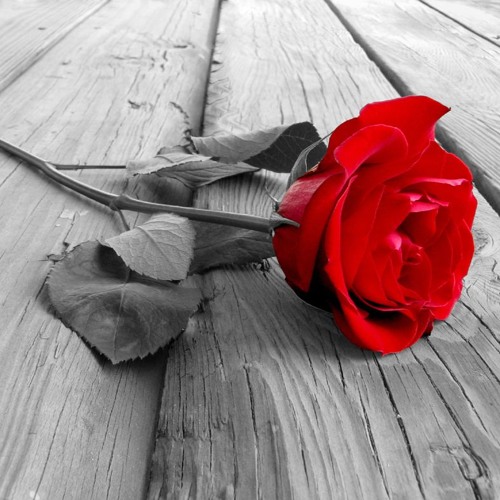 Roses chainsmoker (Remake) (No vocal cause of Copyright) (Free Download)