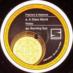 Polska - Burning Sun [Subtle Audio]