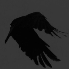 At the pools of Bryn-llwyd