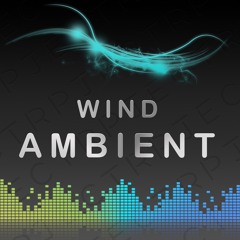 Wind Ambient 1