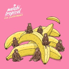 MALABI TROPICAL LIVE FULL SHOW