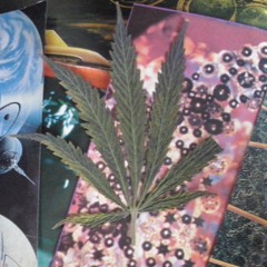 Hwast - Gdzietenrapjest?