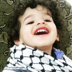 ابو شاهين