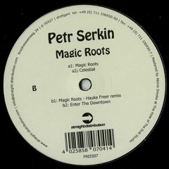 12" Petr Serkin - Magic Roots EP - Freedom Sessions Records 07