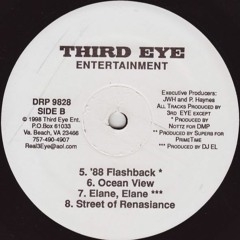 Doomzday :: Third Eye / Ocean View
