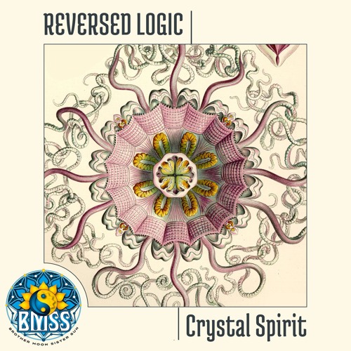 Reversed Logic - Evolution of the Mind