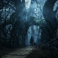 Half Wizard "LIVE from the LaboBox"