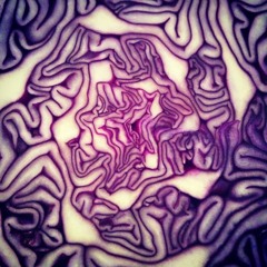 Cabbage