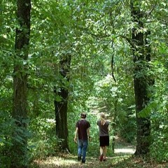 I'm a Lucky Girl by Tenney Whedon Walsh