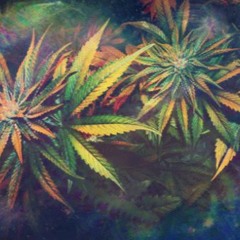 Tha Bombudd Remix 2016