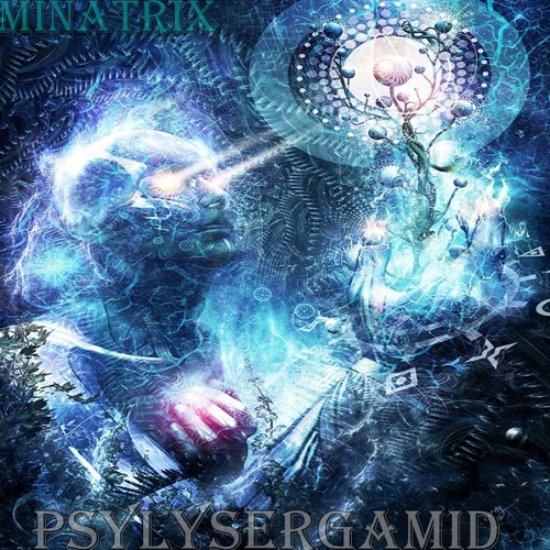 MinatriX - PsyLysergamid Vol.1