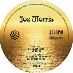 PREMIERE : Joe Morris - Golden Tides