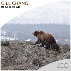 Gill Chang - Black Bear