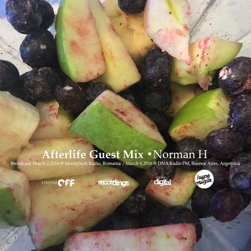 Norman H • Afterlife Guest Mix: March 2016