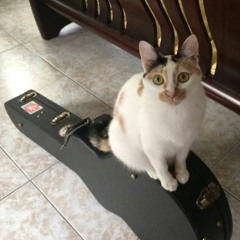 shower DEMO 陣雨 未完......