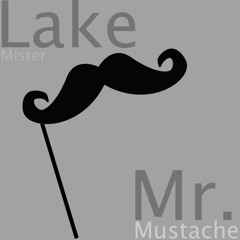 Mr Mustache